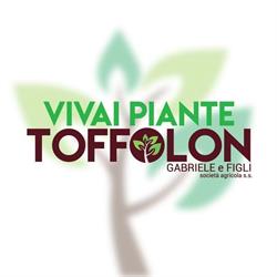 Toffolon Gabriele Riese Pio X, Vallà - Orari di apertura
