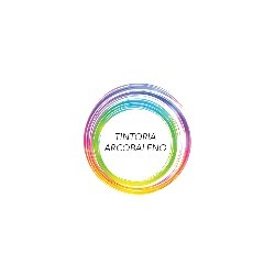 Lavasecco Tintoria Arcobaleno, Torino orari di apertura