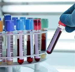 Tielle Diagnostyc SRL, Adrano orari di apertura