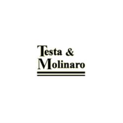 Testa e Molinaro Spa, San Daniele del Friuli orari di apertura