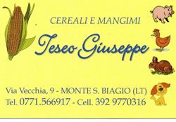 Teseo Giuseppe, Monte San Biagio orari di apertura