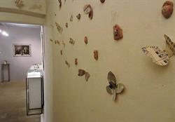 Terre Rare S.n.c., Bologna orari di apertura