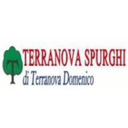 Terranova Spurghi, Palermo orari di apertura
