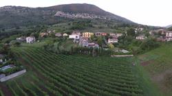 Terenzi Giovanni, Serrone orari di apertura