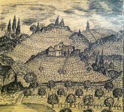 Tenuta Conte Romano Di Romano Pietro, Manzano orari di apertura