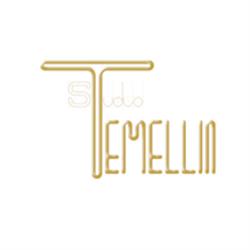 Studio Temellin Commercialisti, San Bonifacio orari di apertura