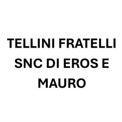 Tellini Fratelli Autofficina Snc di Eros e Mauro, Bagnolo San Vito orari di apertura