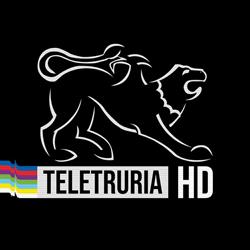 Teletruria 2000 S r l, Arezzo orari di apertura