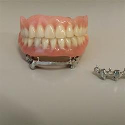 Tecnodental S.a.s., Novara orari di apertura