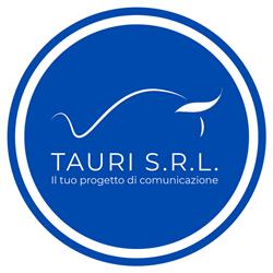 Tauri Srl - Agenzia di Social Media Marketing, Torino orari di apertura