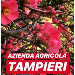 Tampieri Vivai - Garden, Faenza orari di apertura