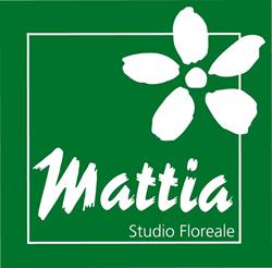 Studio Floreale Mattia, Bormio orari di apertura
