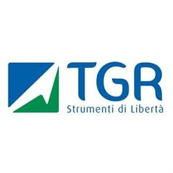TGR Srl - Montascale a ruote e a cingoli senza installazione, per disabili e anziani, Ozzano dell'Emilia orari di apertura