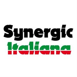 Synergic Italiana, San Lazzaro di Savena orari di apertura