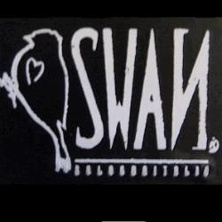 Swan Abbigliamento e Calzature Donna, Bologna orari di apertura