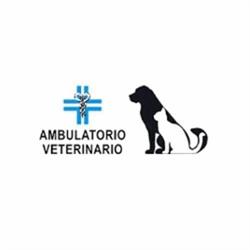 Ambulatorio Veterinario Prato - Dott.ri Pucci Liani Bonacchi, orari di apertura