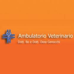 Studio Veterinario Dr. Bo E Dora Genocchi, Medicina orari di apertura