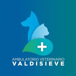 Ambulatorio Veterinario Valdisieve Rufina, Firenze - Orari di apertura
