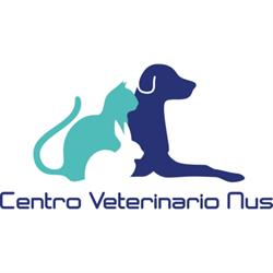 Clinica Centro Veterinario Nus, orari di apertura
