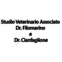Medico Veterinario Dott.ssa Gigliola Filomarino c/o la struttura Vet4Pet, L'Aquila orari di apertura