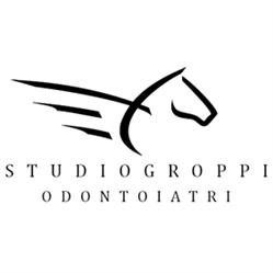 Studio Odontoiatrico Dr. Sergio Groppi - Dott.ssa Elena Groppi, Lodi orari di apertura