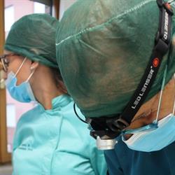 Studio Dentistico Dott. Negri Paolo, Perugia orari di apertura