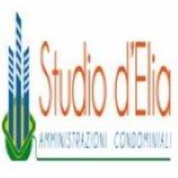 Studio D'elia S.n.c., San Donà di Piave orari di apertura