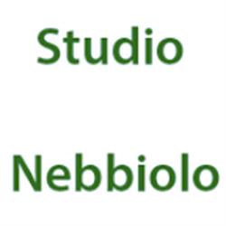 Studio Nebbiolo Società tra Avvocati, Pavia orari di apertura