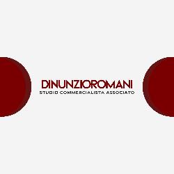 DiNunzioRomani Studio Commercialista Associato, Frascati orari di apertura