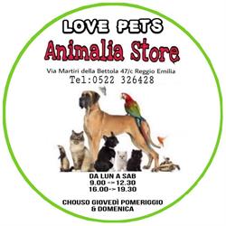 Store Reggio Emilia SRL, orari di apertura