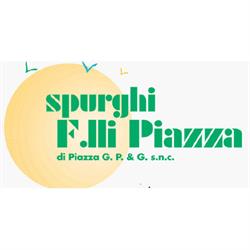 Spurghi F.lli Piazza S.r.l., Vigevano orari di apertura