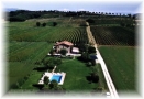 Agriturismo i Mori Gelsi - Fattoria Spinola Torgiano, Fattoria Spinola - Orari di apertura