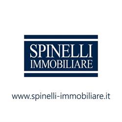 Spinelli Immobiliare, Acquaviva delle Fonti orari di apertura