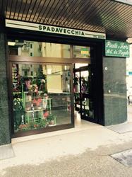 Spadavecchia Ignazio, Foggia orari di apertura