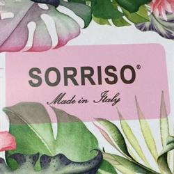 Sorriso SRL, Carpi orari di apertura