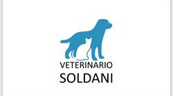 Ambulatorio veterinario Soldani dr.Alessandro, Pontedera orari di apertura