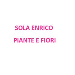 Sola Enrico Fiori e Piante, Cossato orari di apertura