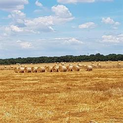 Soc. Coop. Agricoltura Nuova, Roma orari di apertura