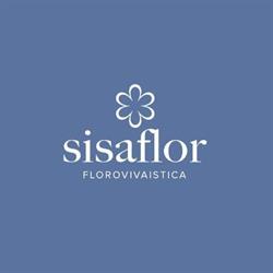 Sisaflor Az.Ortofloricola Di Albertini Fabio E C. Soc.Semplice, Forlì orari di apertura