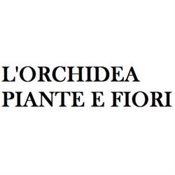L'Orchidea Piante e Fiori, Prizzi orari di apertura