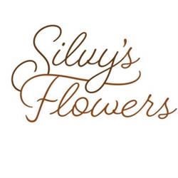 Silvy's Flowers Di Isvoranu Silvia, Carrù orari di apertura