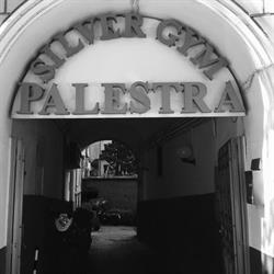 ROMIS SSD arl - Palestra Silver Gym Roma, orari di apertura