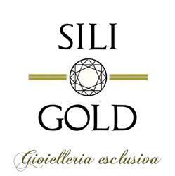 Sili-Gold(S.a.s.), Pianezza orari di apertura