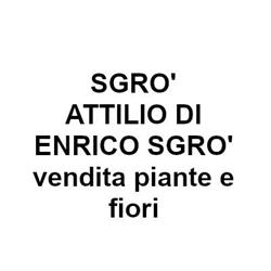 Sgro' Attilio, Reggio Emilia orari di apertura