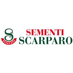 Sementi Scarparo, Latina orari di apertura