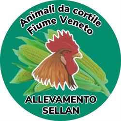 Allevamento Sellan, Fiume Veneto orari di apertura