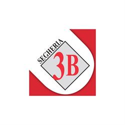 Segheria 3b Di Paolo & Federico Basso Snc, Trivignano Udinese orari di apertura