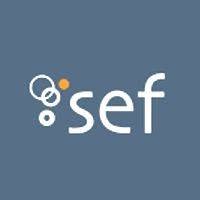 Sef SRL, Barghe orari di apertura