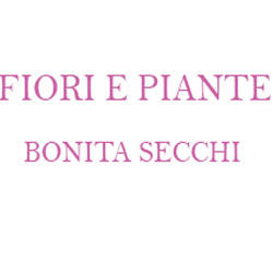 Secchi Maria Bonaria, Dolianova orari di apertura
