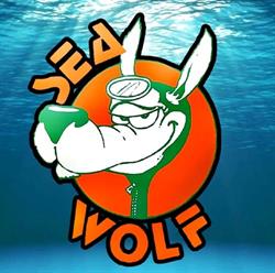 SEA WOLF DIVING ASD, Numana orari di apertura